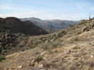 photo thumbnail #6