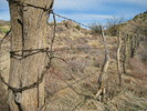 photo thumbnail #8