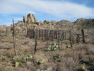 photo thumbnail #13
