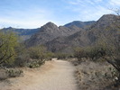 photo thumbnail #2