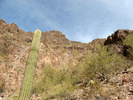 photo thumbnail #9