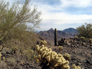 photo thumbnail #10