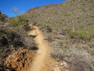 photo thumbnail #1