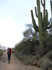 photo thumbnail #6
