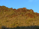 photo thumbnail #1