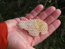 photo thumbnail #11