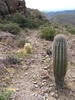 photo thumbnail #12