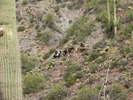 photo thumbnail #15