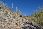 photo thumbnail #3