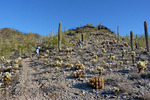 photo thumbnail #4