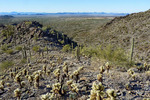 photo thumbnail #5