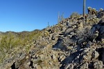 photo thumbnail #7