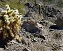 photo thumbnail #8