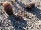 photo thumbnail #2