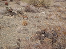 photo thumbnail #7