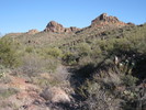 photo thumbnail #2