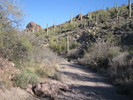 photo thumbnail #4