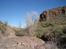 photo thumbnail #6