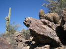 photo thumbnail #10