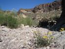 photo thumbnail #13