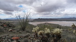 photo thumbnail #1