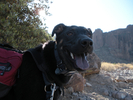 photo thumbnail #13