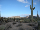 photo thumbnail #4