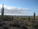 photo thumbnail #6