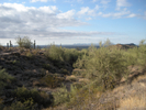 photo thumbnail #7
