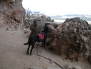 photo thumbnail #15