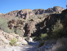 photo thumbnail #11