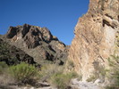 photo thumbnail #13