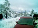 photo thumbnail #3