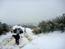 photo thumbnail #12