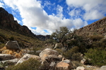 photo thumbnail #8