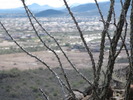 photo thumbnail #3