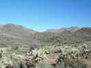 photo thumbnail #1
