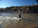 photo thumbnail #15