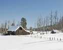photo thumbnail #5