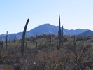 photo thumbnail #1