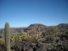 photo thumbnail #3