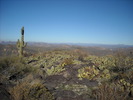 photo thumbnail #4