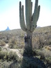 photo thumbnail #9
