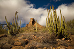 photo thumbnail #12