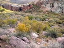 photo thumbnail #9