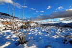 photo thumbnail #9