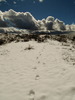 photo thumbnail #12