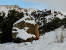photo thumbnail #13
