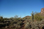 photo thumbnail #2