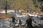 photo thumbnail #1